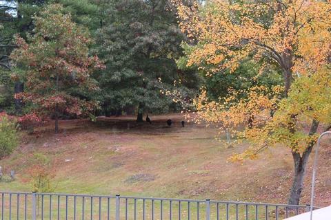 8 Evergreen Dr, Webster, MA 01570 photo 23
