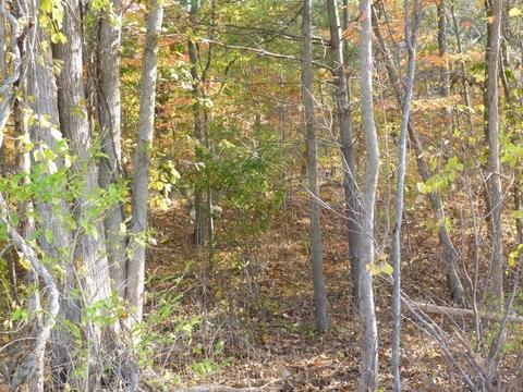 4 Carr St, Sutton, MA 01590 photo 4