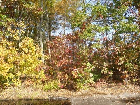 4 Carr St, Sutton, MA 01590 photo 6