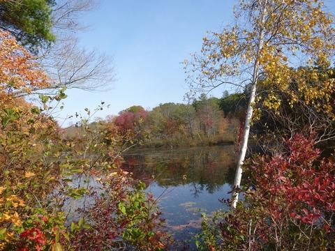 4 Carr St, Sutton, MA 01590 photo 5
