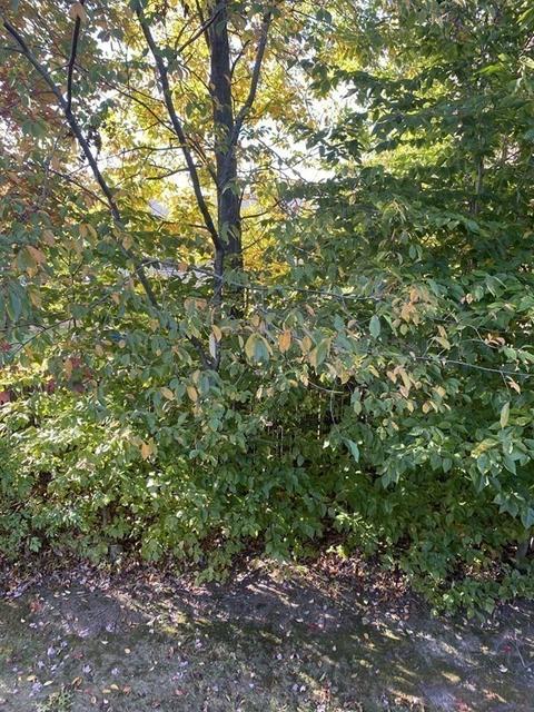 1170 Wilson Rd #39, Fall River, MA 02720 photo 15