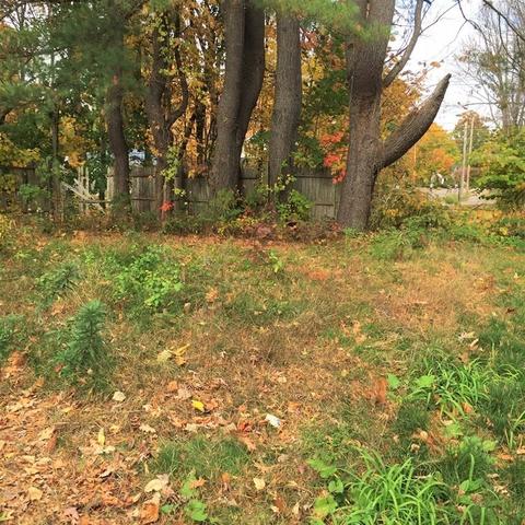 4 Adah St, Athol, MA 01331 photo 4