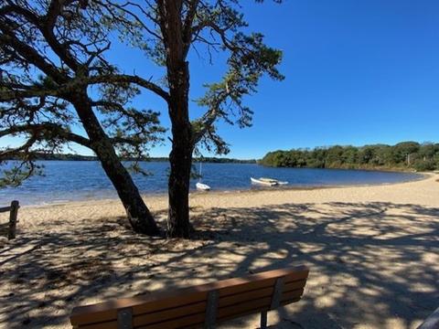 80 Great Pond Rd, Eastham, MA 02642 photo 5