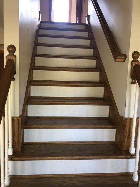 4 Conlyn Ave, Franklin, MA 02038 photo 12
