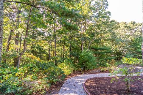 147 Beech Leaf Island Rd, Centerville, MA 02632 photo 37