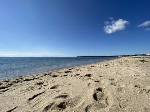 147 Beech Leaf Island Rd, Centerville, MA 02632 photo 42