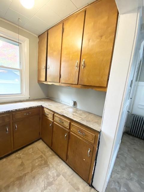 48 Boyer St, Springfield, MA 01109 photo 21