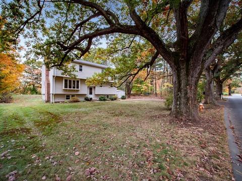 83 Maple St, Franklin, MA 02038 photo 26