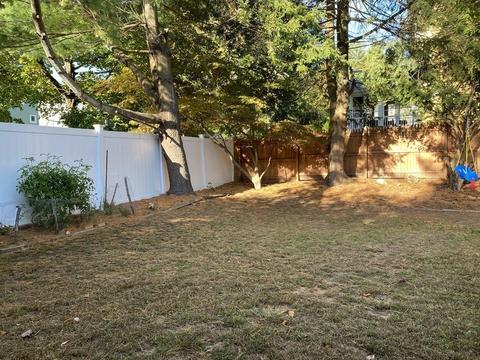 437 Great Plain Ave, Needham, MA 02492 photo 32