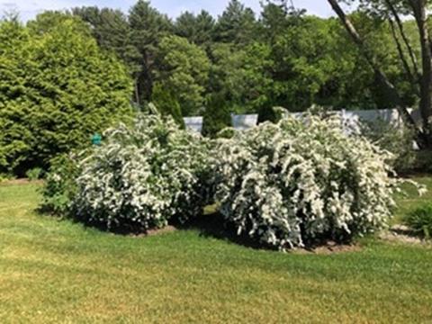 265 Gardner St, Hingham, MA 02043 photo 34