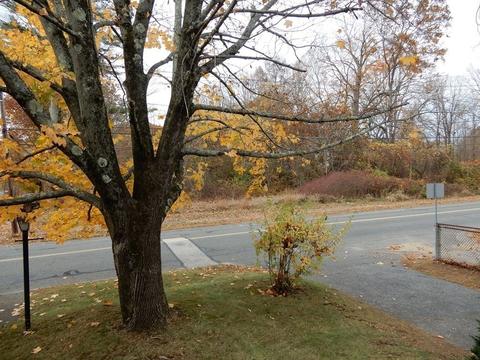 209 Maple St, Warren, MA 01083 photo 8