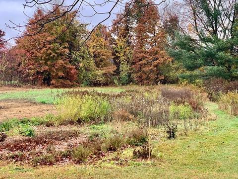 68 Comins Rd, Hadley, MA 01035 photo 41