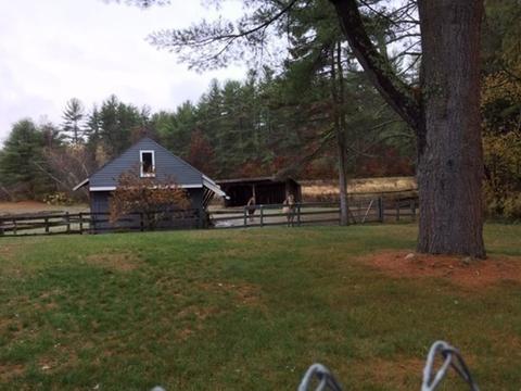 737 Wendell Rd, Warwick, MA 01378 photo 28