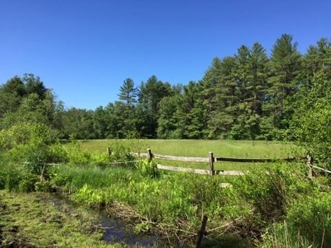 737 Wendell Rd, Warwick, MA 01378 photo 39
