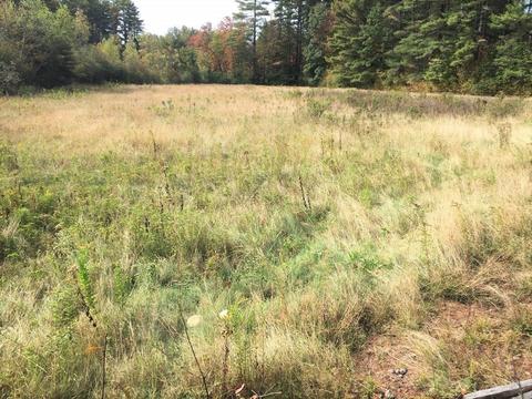 737 Wendell Rd, Warwick, MA 01378 photo 38