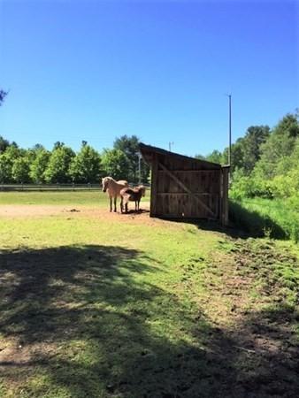 737 Wendell Rd, Warwick, MA 01378 photo 32