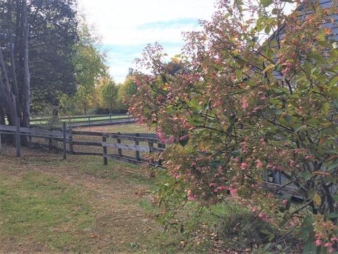 737 Wendell Rd, Warwick, MA 01378 photo 33