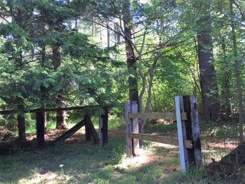 737 Wendell Rd, Warwick, MA 01378 photo 24