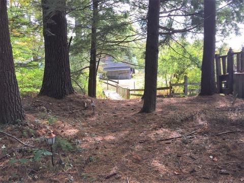 737 Wendell Rd, Warwick, MA 01378 photo 35