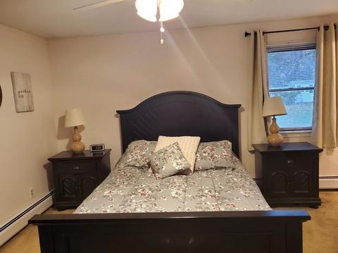 184 Senator St, Springfield, MA 01129 photo 12