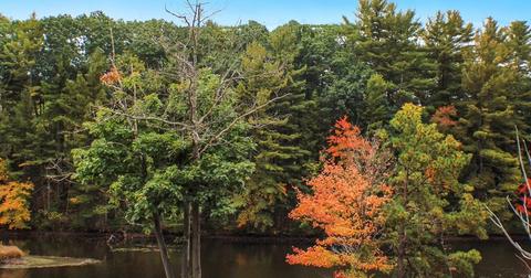 1079 Worcester Rd, Barre, MA 01005 photo 4