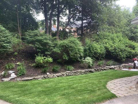 24 Willowbrook Ln, Worcester, MA 01609 photo 33