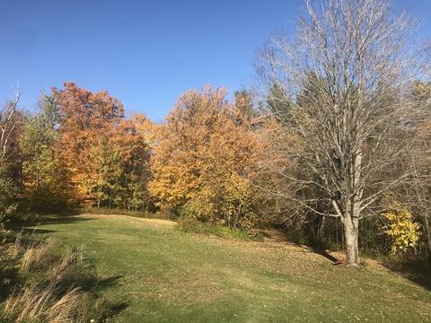 98 Loop Rd, Savoy, MA 01256 photo 18