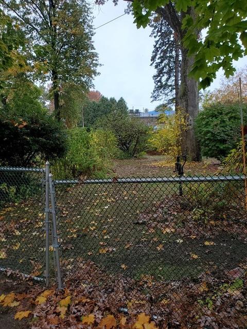 33 Plumtree Rd, Springfield, MA 01118 photo 5