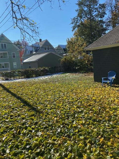 74 Forest Park Ave, Springfield, MA 01108 photo 5