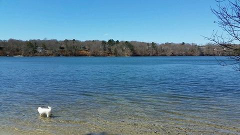 88 Edgewater Rd, Mashpee, MA 02649 photo 9
