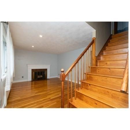 11 Beloit, Dedham, MA 02026 photo 7