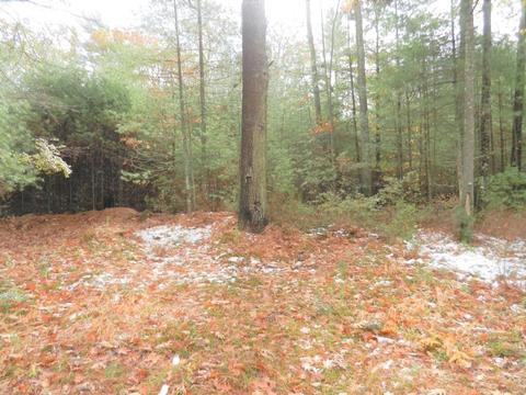 112 Webster St, Douglas, MA 01516 photo 5