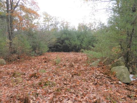 112 Webster St, Douglas, MA 01516 photo 9