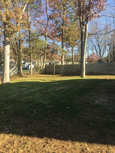 15 Albee St, Springfield, MA 01129 photo 17