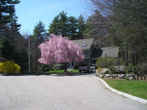 3 Steeplechase Ln, Franklin, MA 02038 photo 5