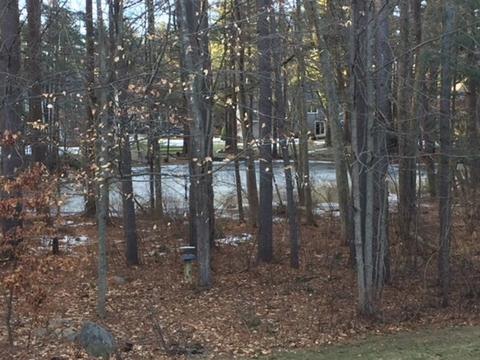 3 Steeplechase Ln, Franklin, MA 02038 photo 41