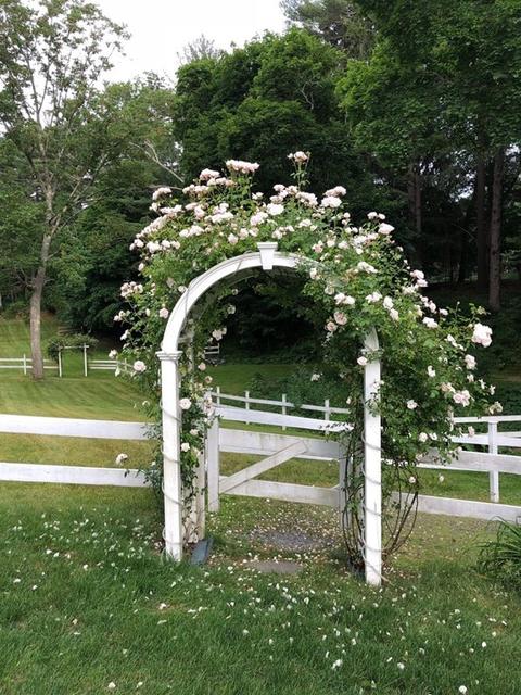 810 Main St, Hingham, MA 02043 photo 38