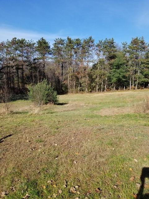 49 Lois St, Ware, MA 01082 photo 4