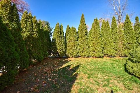 415 Maple St, Springfield, MA 01105 photo 28