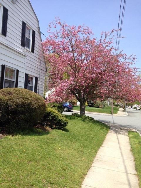 403 Milton St, Fall River, MA 02720 photo 33