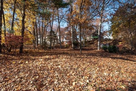 205 Norfolk St, Springfield, MA 01109 photo 37
