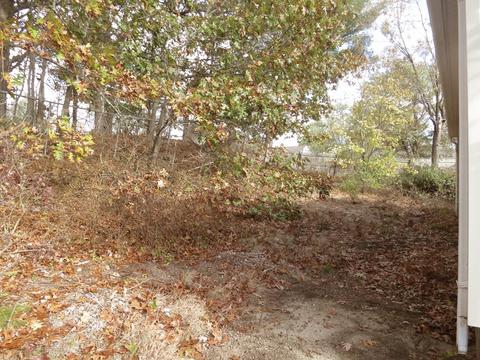 172 Keddy St, Springfield, MA 01109 photo 3