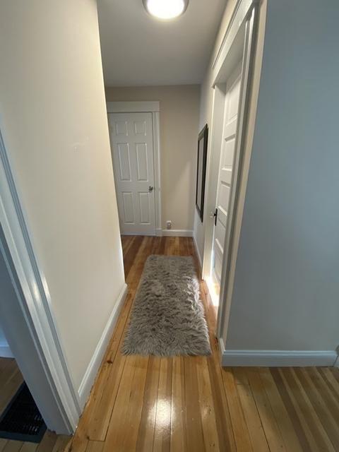 3 S Edlin St, Worcester, MA 01603 photo 12