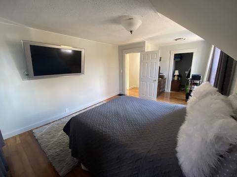 3 S Edlin St, Worcester, MA 01603 photo 16