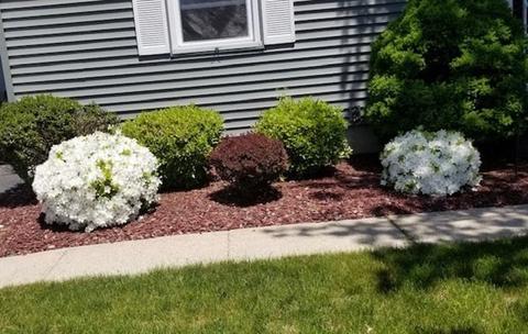 75 Greenpoint Cir, Chicopee, MA 01020 photo 34