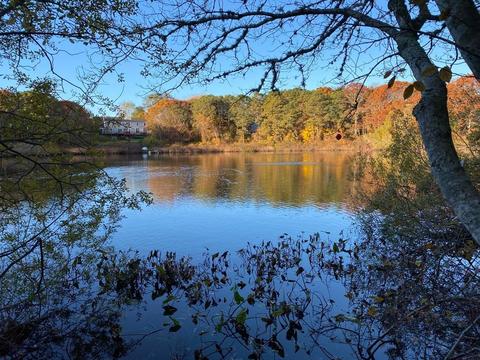 133 Ralyn Rd, Barnstable, MA 02635 photo 41