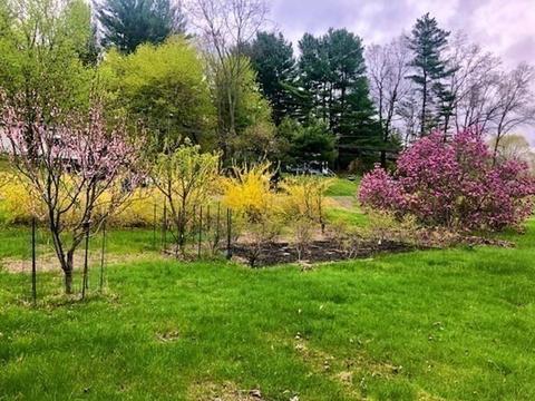 17 Old Belchertown Rd, Ware, MA 01082 photo 9