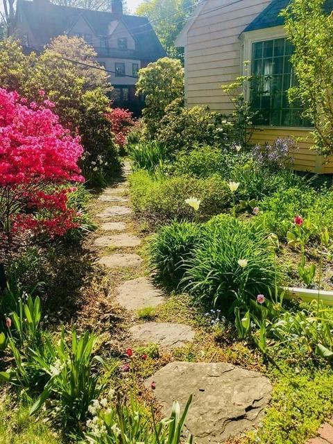 30 Irving St, Brookline, MA 02445 photo 35