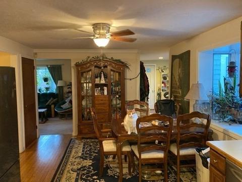 8 Hobbler Rd, Bourne, MA 02532 photo 4
