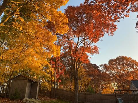 4 Abernathy Way, Marblehead, MA 01945 photo 28
